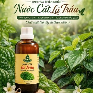 Nước cất lá trầu